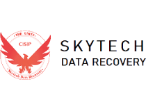  Free Dynamic Website